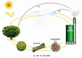 生物质颗粒机市场需求与前景展望